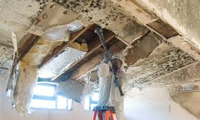 Best Water Damage & Mold Remediation  in Wanaque, NJ